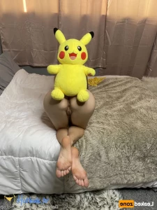 16295545