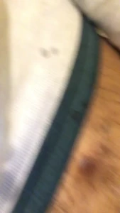 8213883