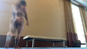 18239329