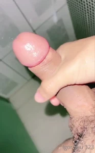 8208531