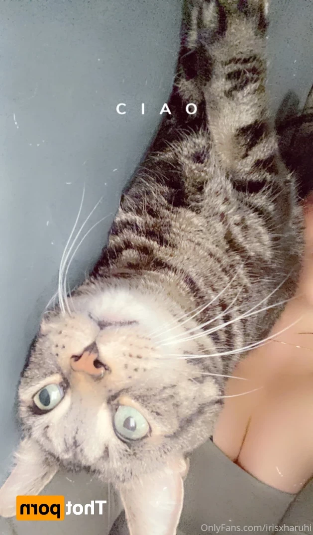 💗𝙂𝙚𝙞𝙨𝙝𝙖 da 𝙆𝙞𝙩𝙩𝙚𝙣💦 [ geishakitten ] Onlyfans leaked photo 12587355 on Hotleaks.tv