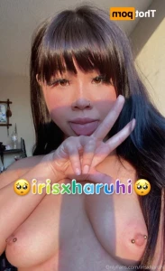 15211317