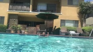 Lotus Lain [ itslotuslain ] Onlyfans leaked video 8196630 on Hotleaks.tv
