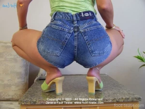 15323738