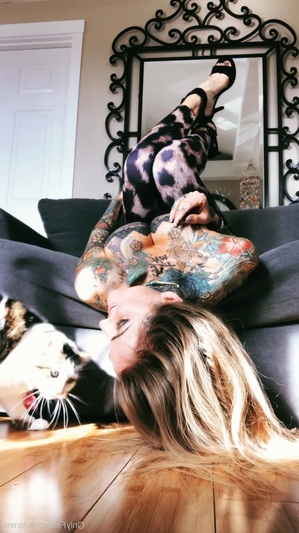 Janine Lindemulder [ janine ] Onlyfans leaked photo 9315319 on Hotleaks.tv