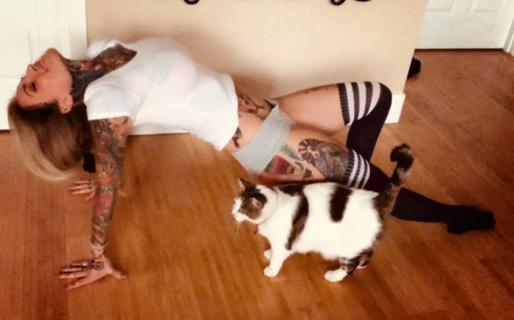 Janine Lindemulder [ janine ] Onlyfans leaked photo 9320171 on Hotleaks.tv