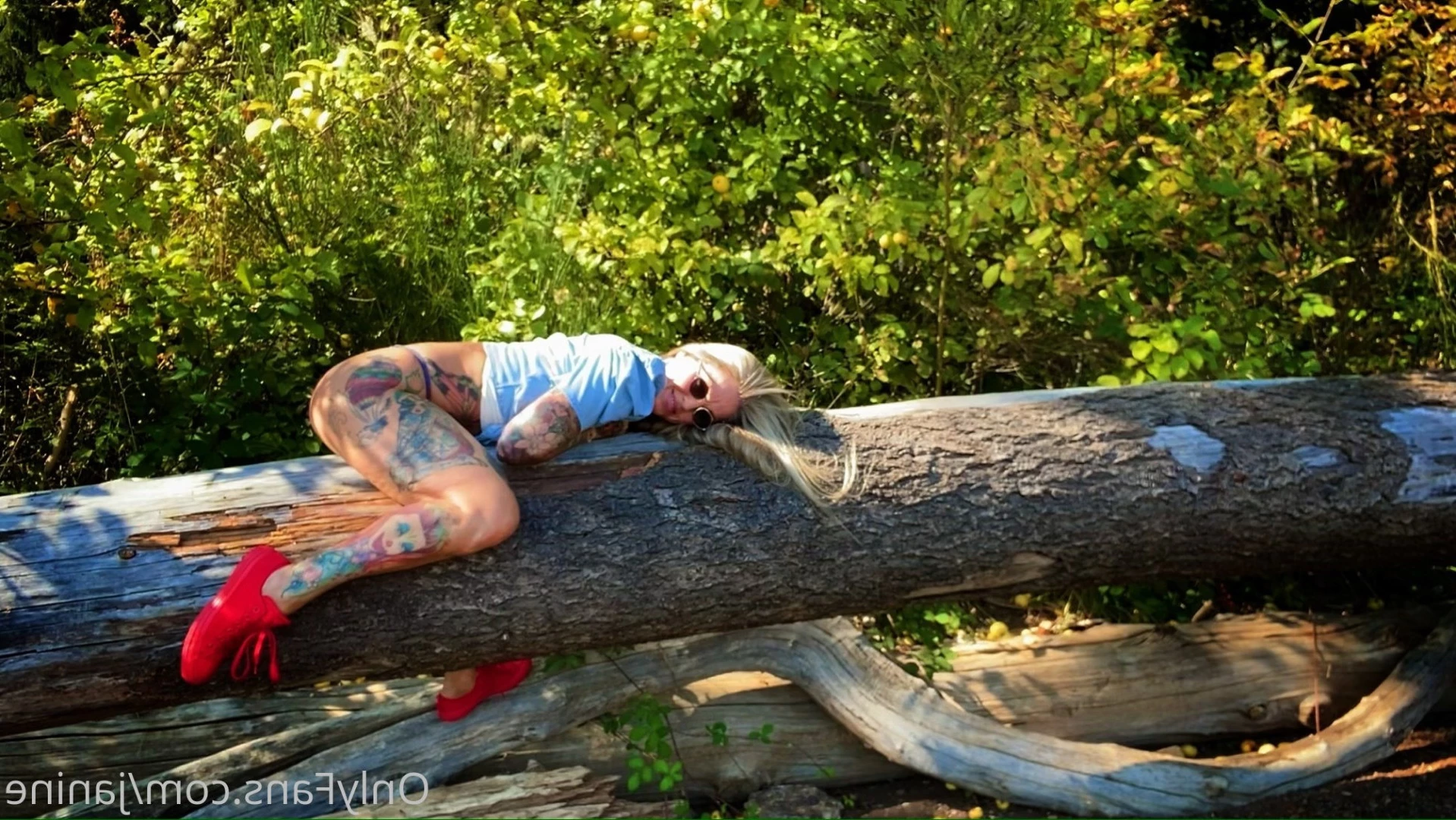 Janine Lindemulder [ janine ] Onlyfans leaked photo 9341158 on Hotleaks.tv