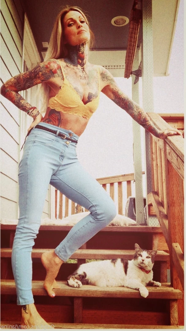 Janine Lindemulder [ janine ] Onlyfans leaked photo 9363492 on Hotleaks.tv