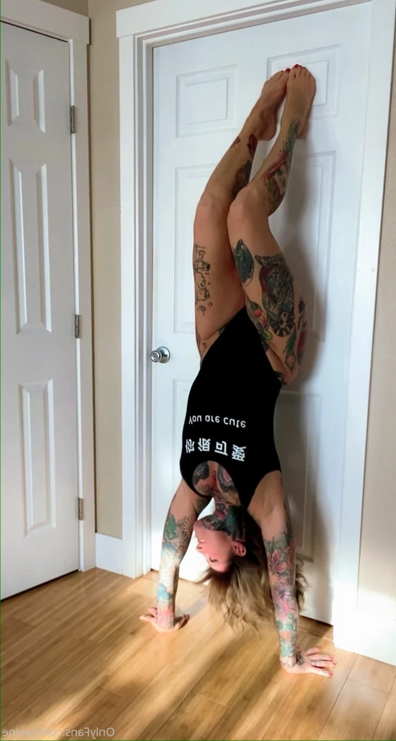 Janine Lindemulder [ janine ] Onlyfans leaked photo 9372984 on Hotleaks.tv