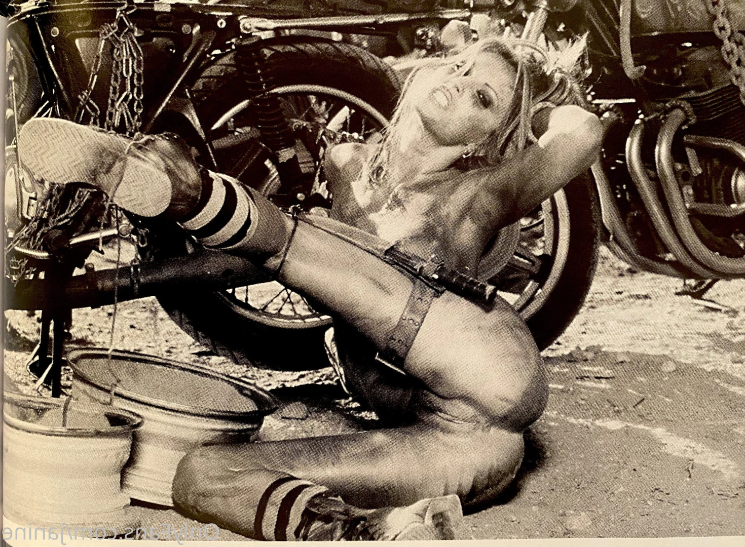 Janine Lindemulder [ janine ] Onlyfans leaked photo 9373894 on Hotleaks.tv