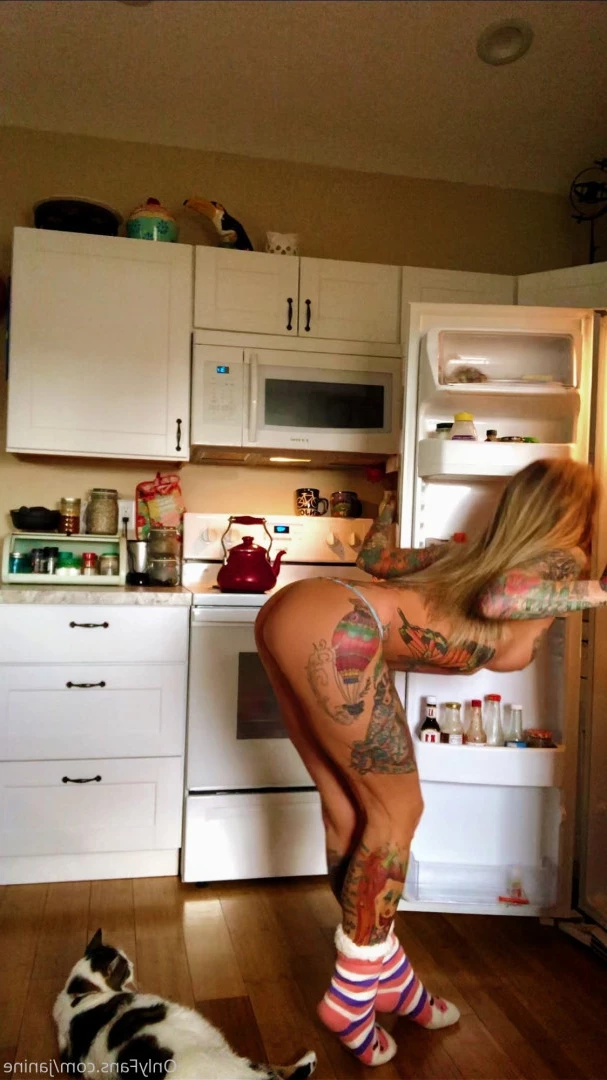 Janine Lindemulder [ janine ] Onlyfans leaked photo 9379939 on Hotleaks.tv