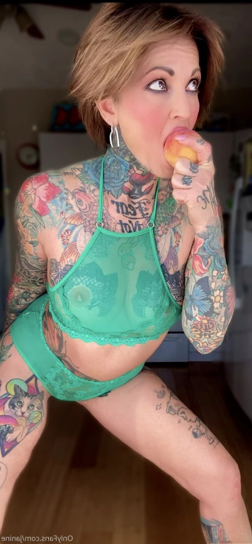 Janine Lindemulder [ janine ] Onlyfans leaked photo 9380778 on Hotleaks.tv