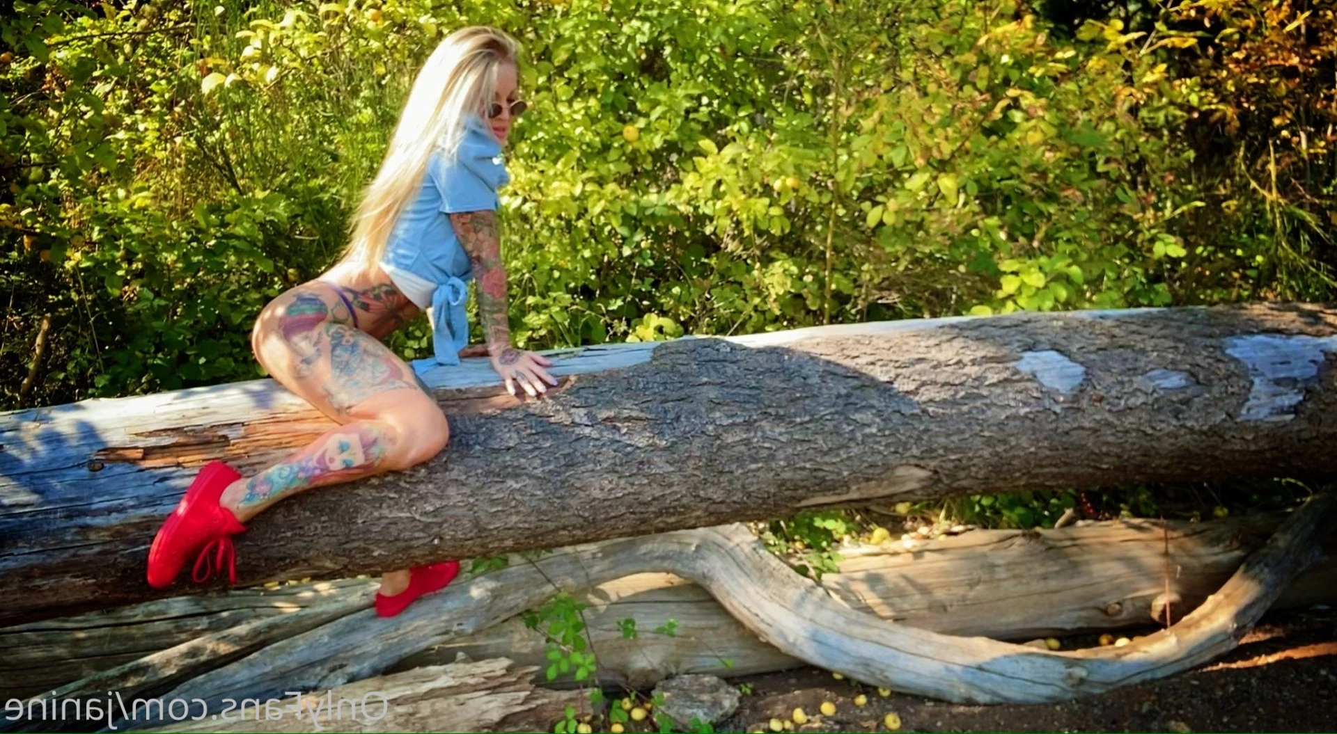 Janine Lindemulder [ janine ] Onlyfans leaked photo 9416178 on Hotleaks.tv