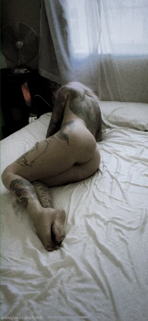 Janine Lindemulder [ janine ] Onlyfans leaked photo 9419944 on Hotleaks.tv