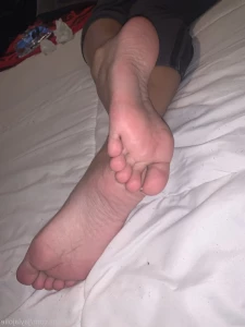 16153587