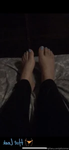 16045659