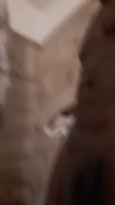 Joss Lescaf-VIP [ josslescaf ] Onlyfans leaked video 8162555 on Hotleaks.tv