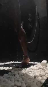 Joss Lescaf-VIP [ josslescaf ] Onlyfans leaked video 8163020 on Hotleaks.tv