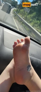 15214161