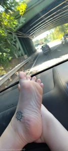 15815585