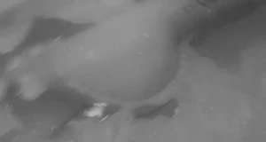 Kaay [ kaay_ks9 ] Onlyfans leaked video 8149209 on Hotleaks.tv