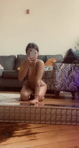 16184152
