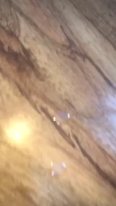 GoddessKimberlychi [ kimberlychixxx ] Onlyfans leaked video 8140974 on Hotleaks.tv