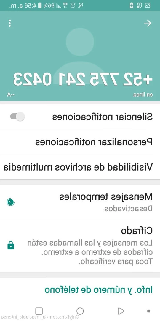 LA SEÑORA DE LAS CUATRO DÉCADAS [ la_insaciable_intensa ] Onlyfans leaked photo 8972359 on Hotleaks.tv