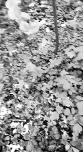 Lady Samira [ lady__samira ] Onlyfans leaked video 8126638 on Hotleaks.tv