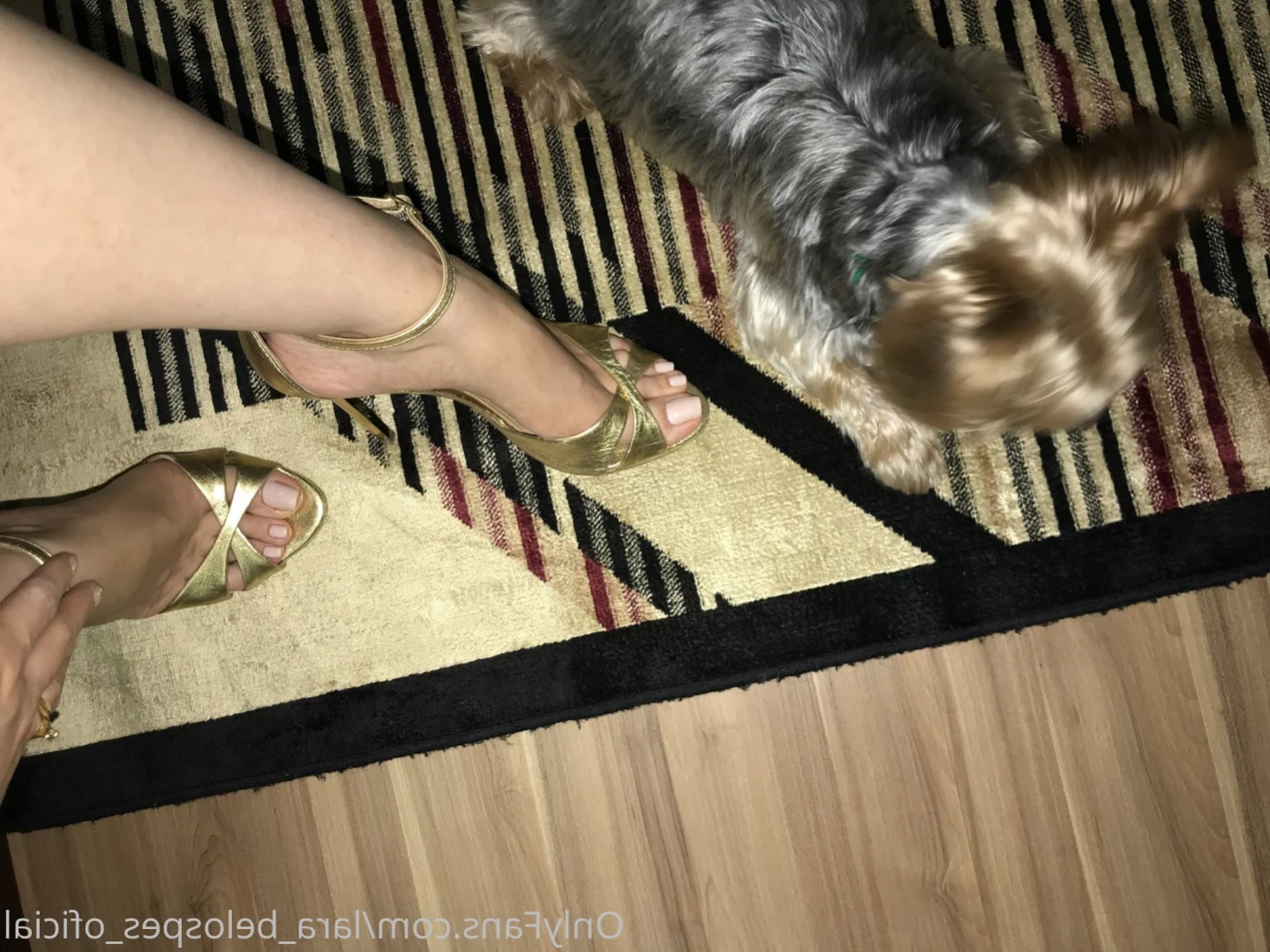 lara_belospes_oficial Onlyfans leaked photo 12925268 on Hotleaks.tv