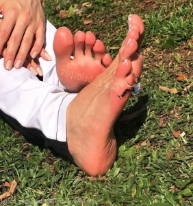 16213189
