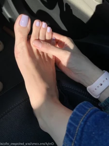 16213194