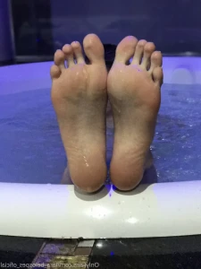 16255576