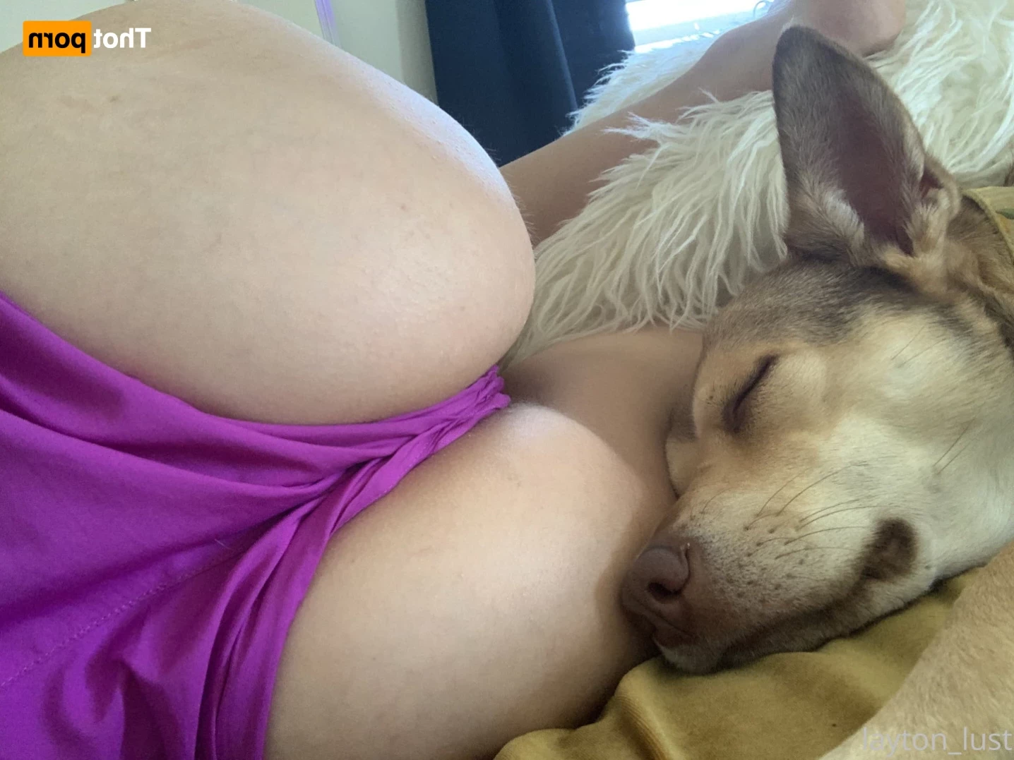 layton_lust Onlyfans leaked photo 12607818 on Hotleaks.tv