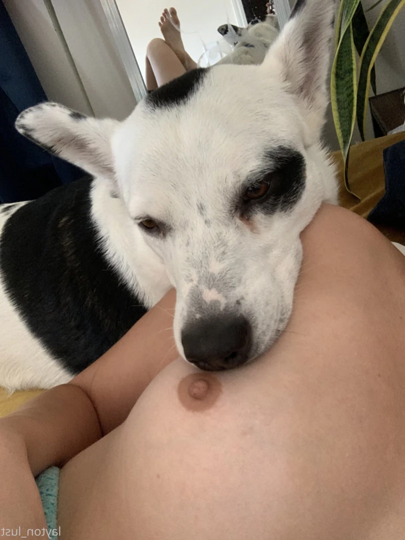 layton_lust Onlyfans leaked photo 14984527 on Hotleaks.tv