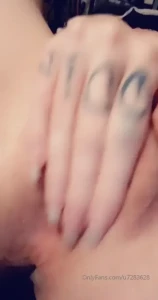 15559079