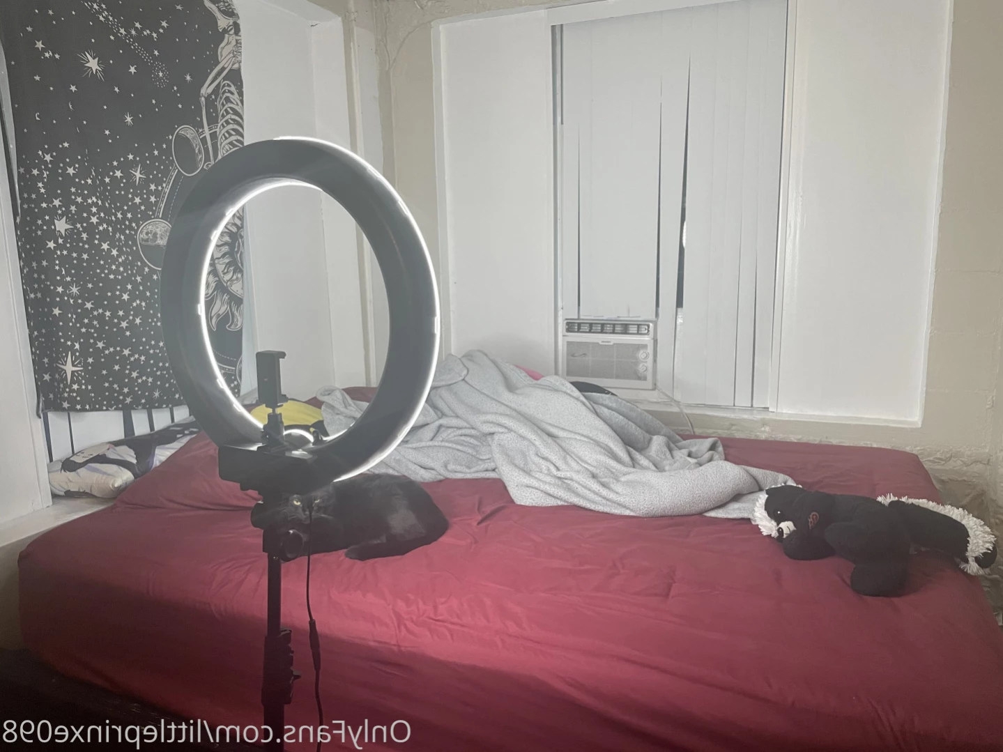Prinxe [ prinxeblue ] Onlyfans leaked photo 14618734 on Hotleaks.tv