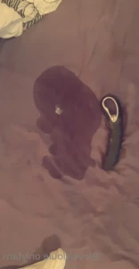 9718310