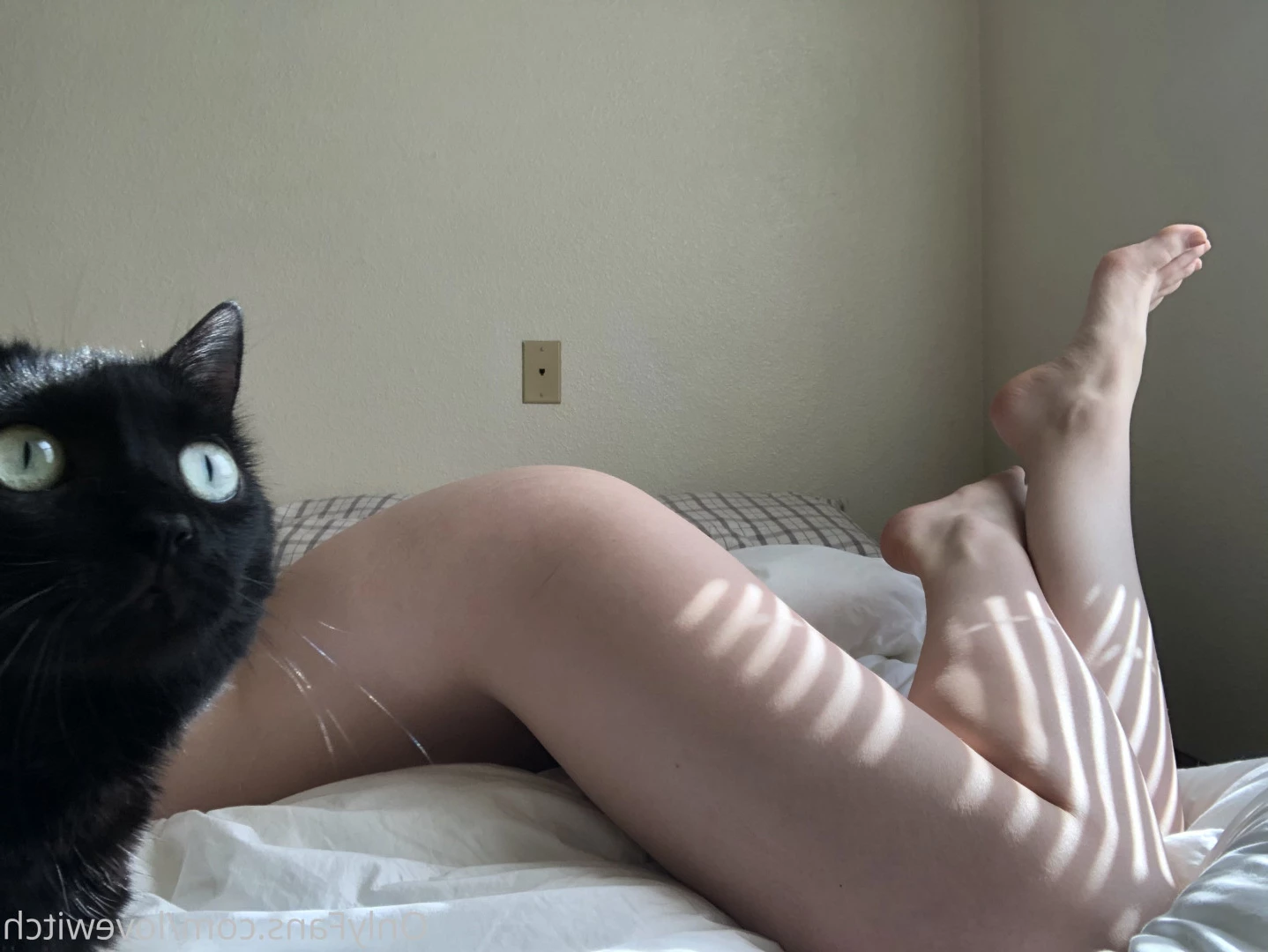 The Love Witch [ lovewitch ] Onlyfans leaked photo 8954611 on Hotleaks.tv