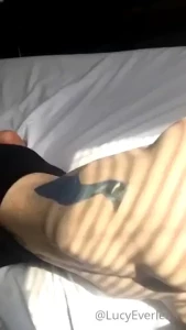 18235340