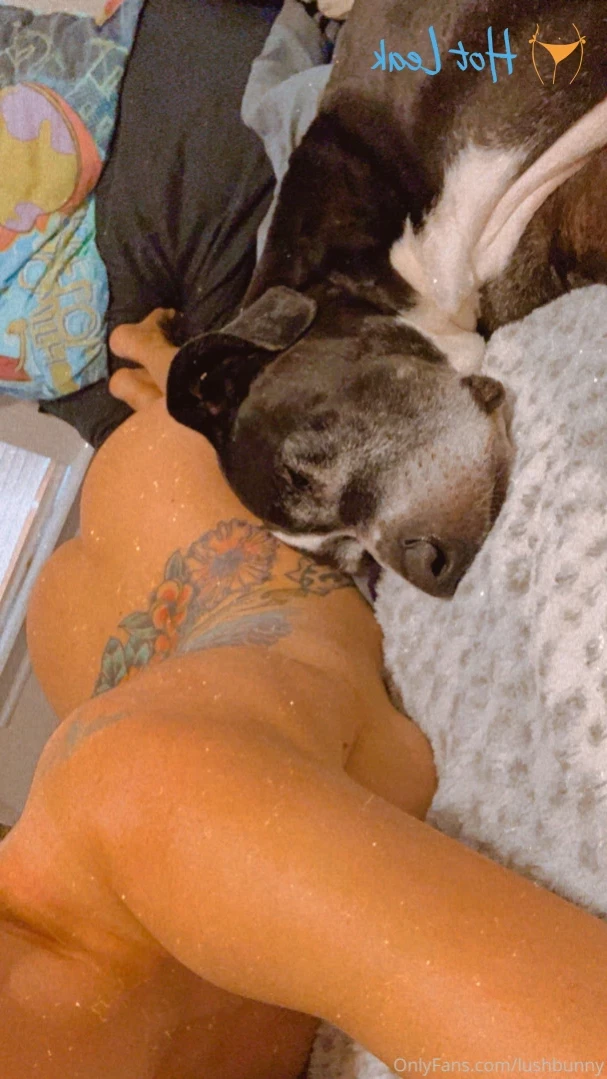 Lush Bunny🐰 [ lushbunny ] Onlyfans leaked photo 12685046 on Hotleaks.tv