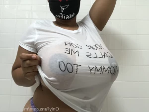 16246678