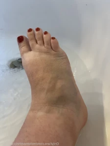 16223692