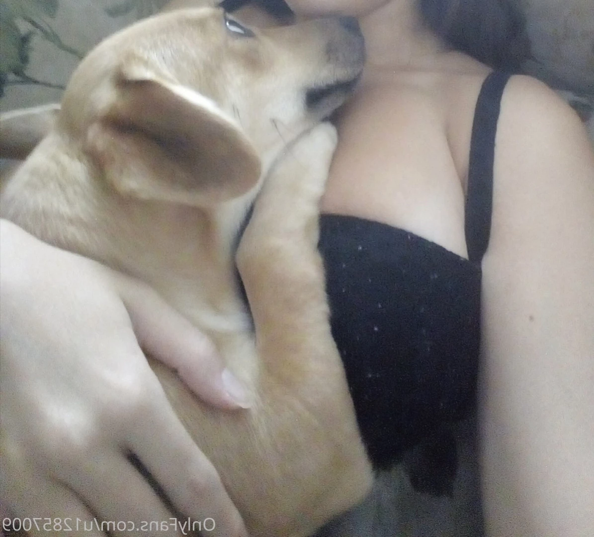 Mia chan [ miachan ] Onlyfans leaked photo 12866165 on Hotleaks.tv