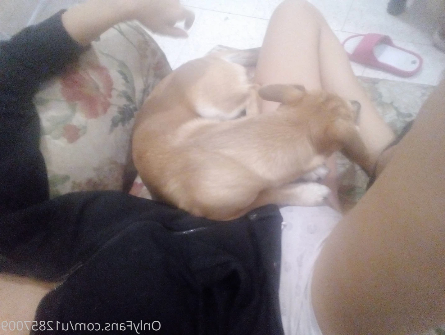 Mia chan [ miachan ] Onlyfans leaked photo 13593489 on Hotleaks.tv