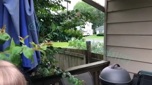 Ellie Brooks (🌴Soccer mom next door🌴) [ mrselliebrooks ] Onlyfans leaked video 8014632 on Hotleaks.tv