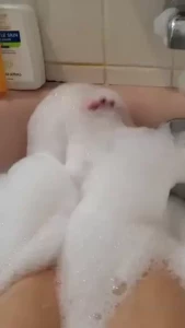 18231713