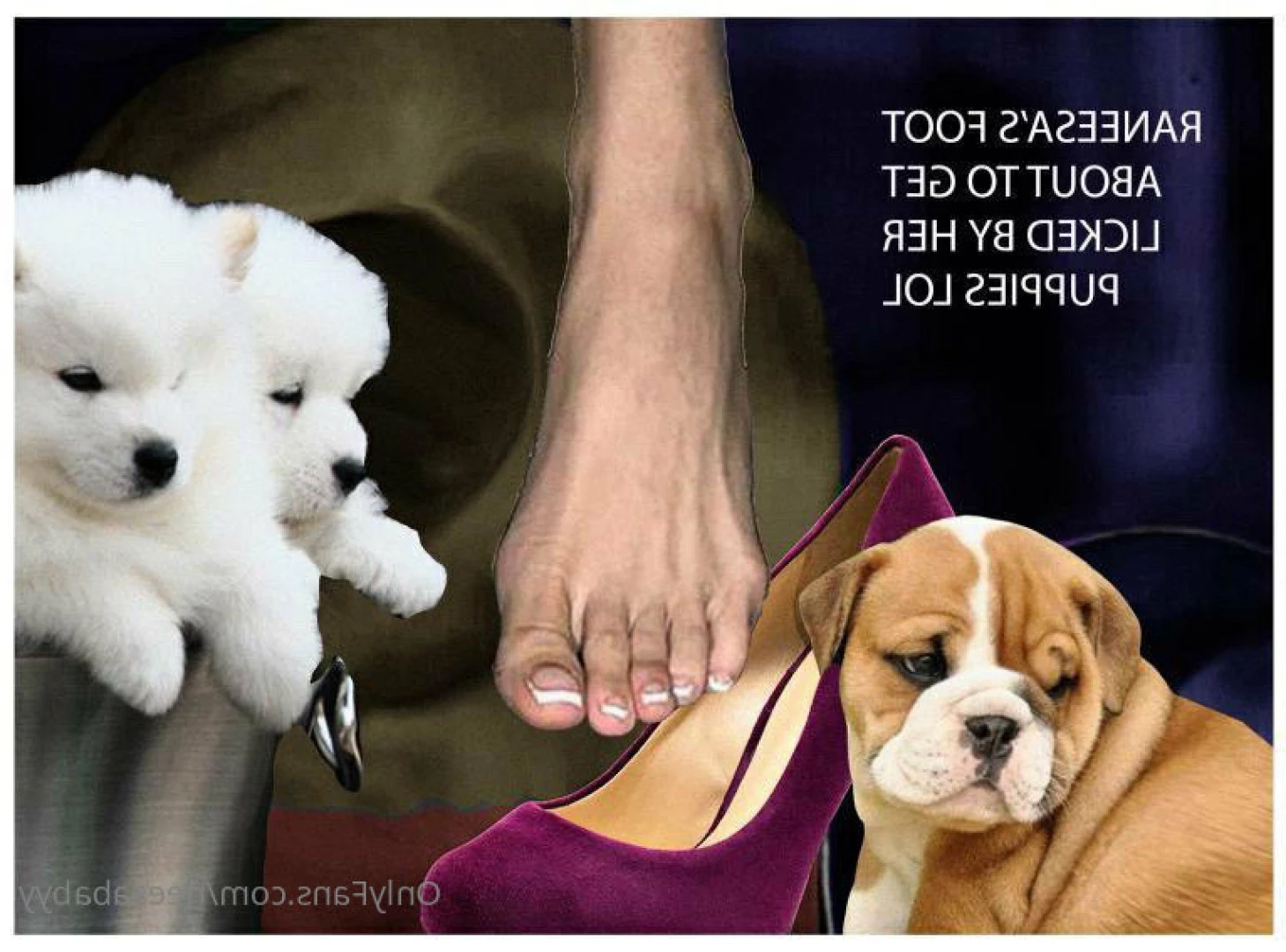 Feet Princess 👸🏻✨ [ footprincessx1 ] Onlyfans leaked photo 7875348 on Hotleaks.tv