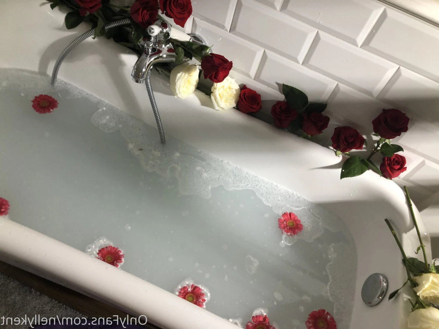 Nelly Kent Official [ nellykent ] Onlyfans leaked photo 13856463 on Hotleaks.tv