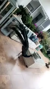 Nikki DelanoXXX [ nikkidelano ] Onlyfans leaked video 18230715 on Hotleaks.tv